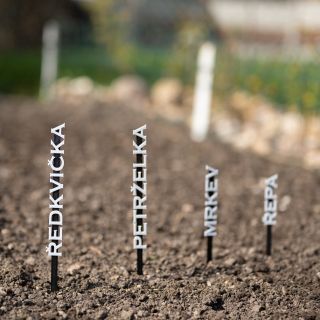 Cedulky k rostlinám 🌱🏷 Také máte každý rok problém zapamatovat si, kam jste co zasadili? 🌱 Vytvořili jsme pro Vás cedulky...